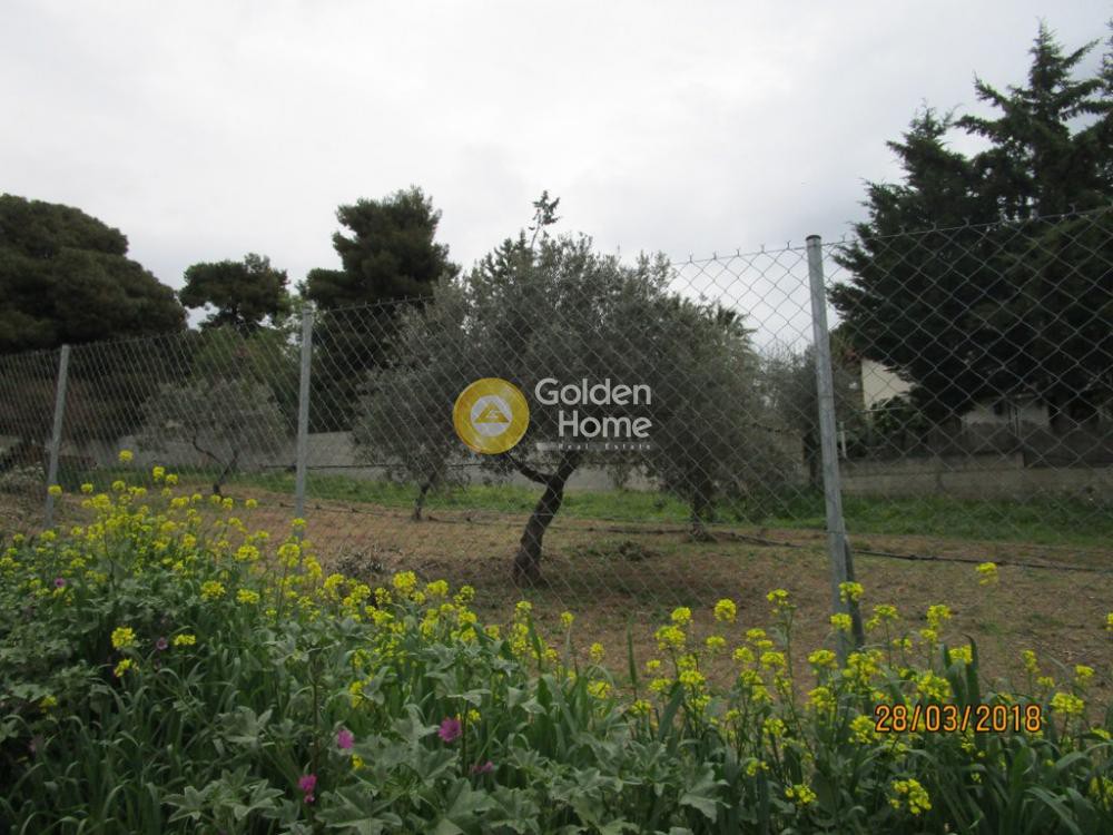 Οικόπεδο 663 τ.μ. προς πώληση, Όριο Κηφισιάς