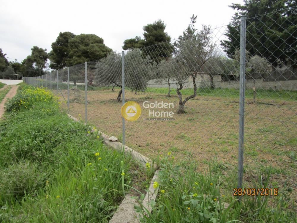Οικόπεδο 663 τ.μ. προς πώληση, Όριο Κηφισιάς