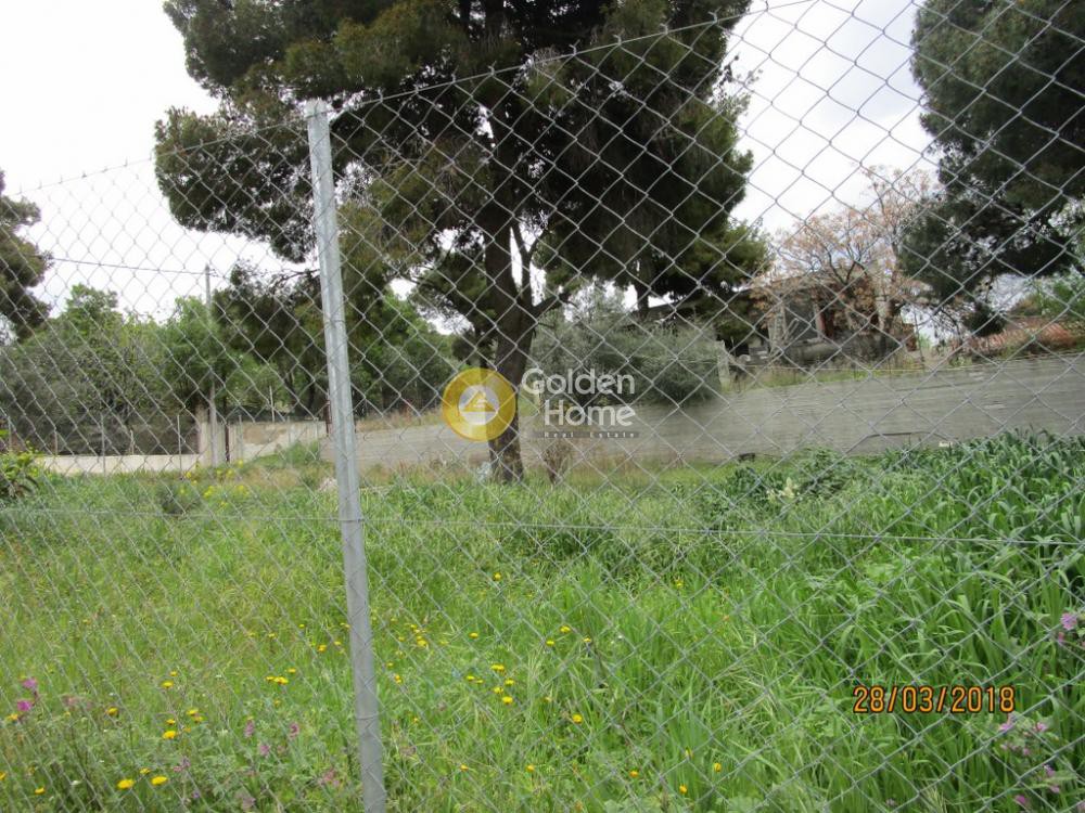 Οικόπεδο 663 τ.μ. προς πώληση, Όριο Κηφισιάς