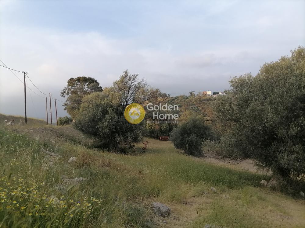 Οικόπεδο 1.627 τ.μ. πρός πώληση, Ν. Ηρακλείου, Τυμπάκι