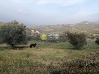 Οικόπεδο 1.627 τ.μ. για πώληση