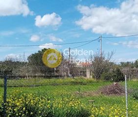 Αγροτεμάχια 283 τ.μ. για πώληση