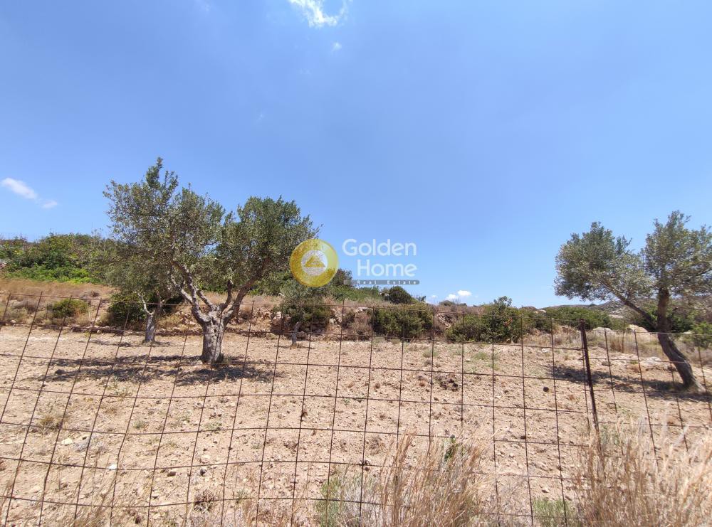 Οικόπεδο 800 τ.μ. προς πώληση, Μονή Χρυσοσκαλιτίσσης