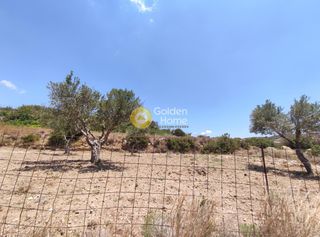 Οικόπεδο 800 τ.μ. για πώληση