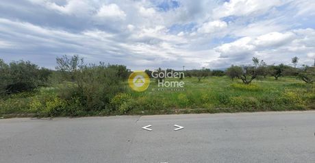 Land plot 14.000sqm for sale-Olenia » Agios Stefanos