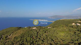 Αγροτεμάχια 4.165 τ.μ. για πώληση