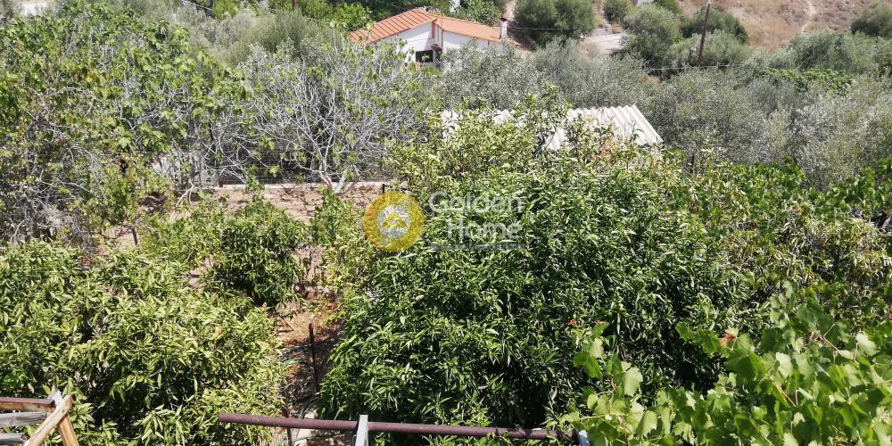 Studio / γκαρσονιέρα 31 τ.μ. προς πώληση, Κέντρο Αγίων Θεοδώρων