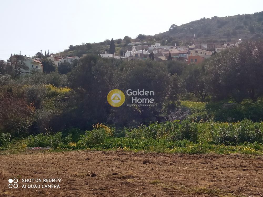 Αγροτεμάχια 396 τ.μ. προς πώληση, Κουσές