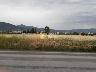 Αγροτεμάχια 7.869 τ.μ. για πώληση