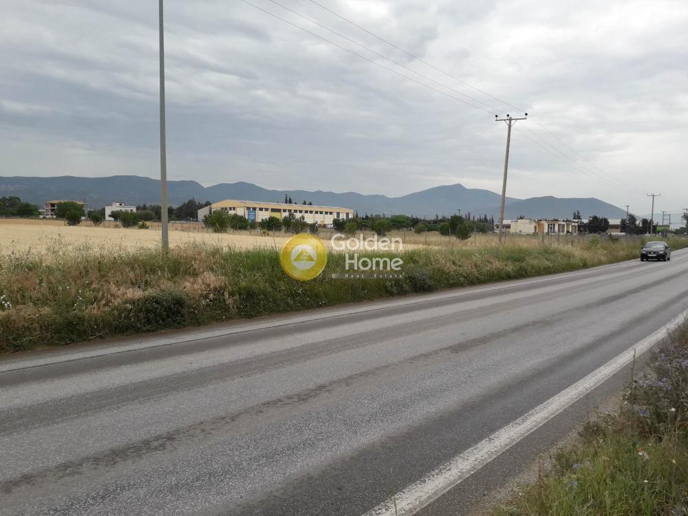 Αγροτεμάχια 7.869 τ.μ. προς πώληση, Κέντρο Βασιλικών
