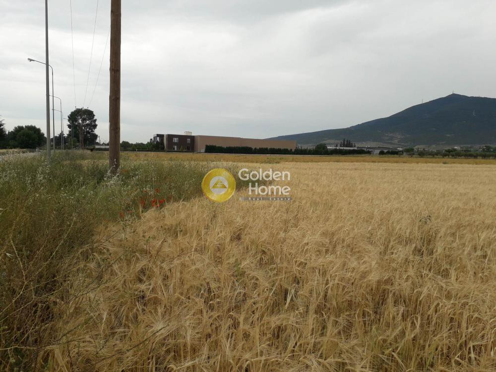 Αγροτεμάχια 7.869 τ.μ. προς πώληση, Κέντρο Βασιλικών