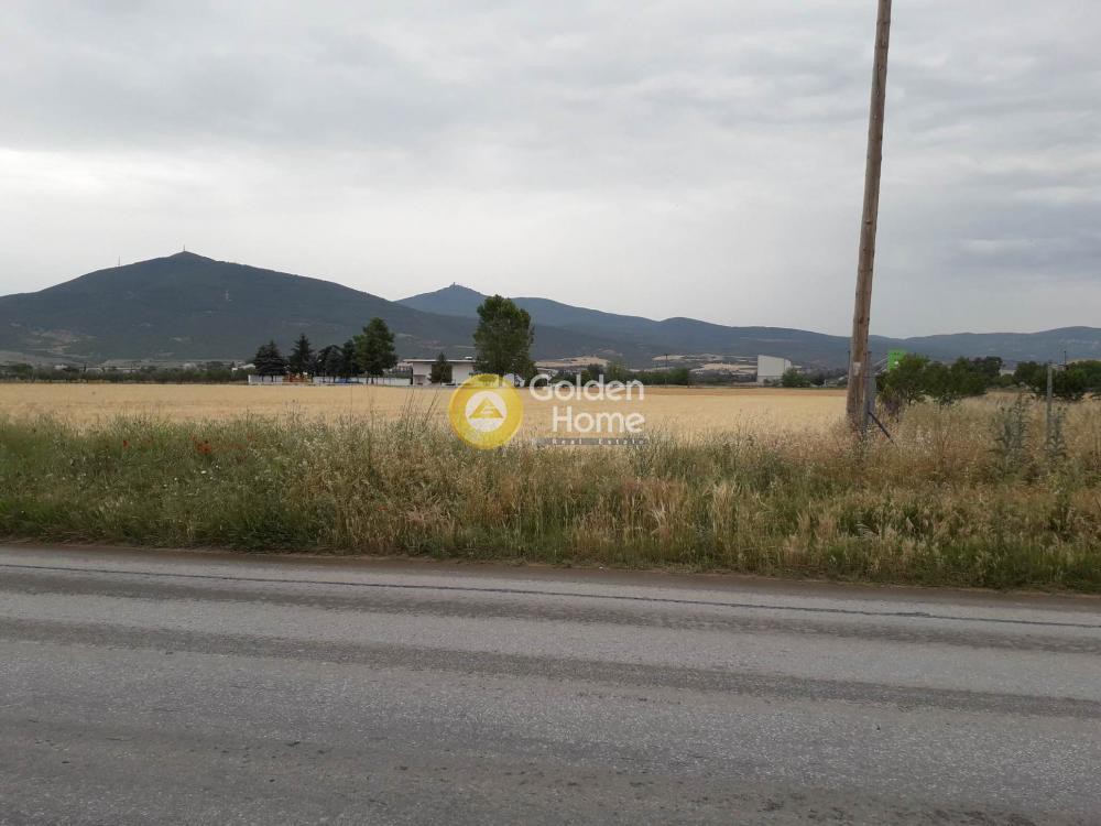 Αγροτεμάχια 7.869 τ.μ. προς πώληση, Κέντρο Βασιλικών