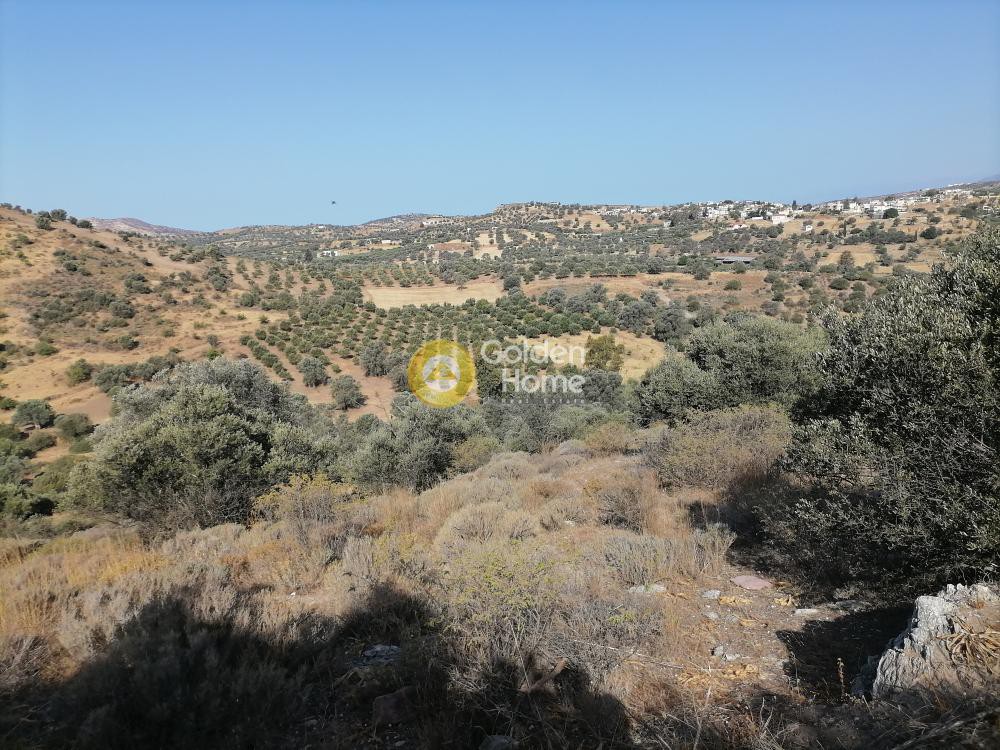 Αγροτεμάχια 3.313 τ.μ. προς πώληση, Σίβας