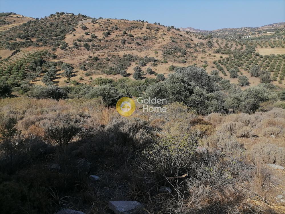 Αγροτεμάχια 3.313 τ.μ. προς πώληση, Σίβας