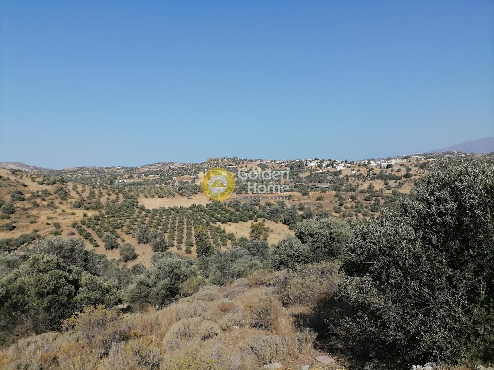 Αγροτεμάχια 3.313 τ.μ. προς πώληση, Σίβας