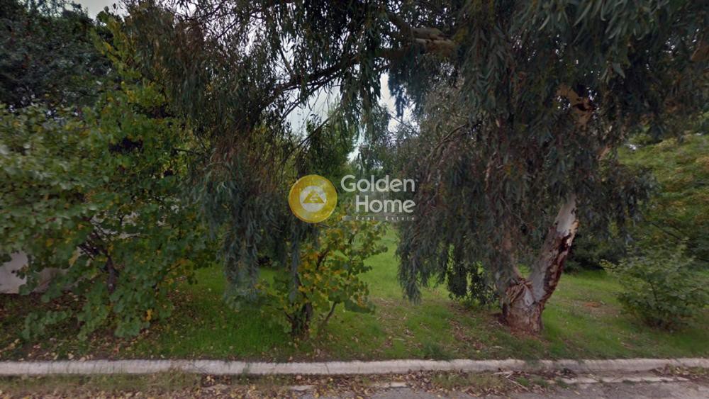 Οικόπεδο 1.532 τ.μ. προς πώληση, Ντράφι