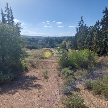 Parcel 4.375sqm for sale-Schimatari » Plaka Dilesi