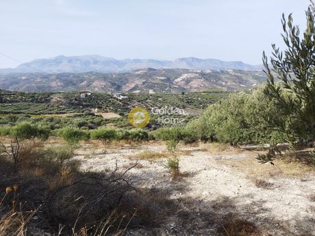 Parcel 10.000sqm for sale-Temenos » Agios Sillas