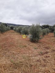 Οικόπεδο 37.000 τ.μ. για πώληση