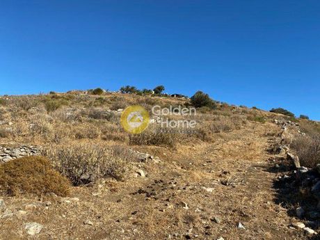 Αγροτεμάχια 5.700 τ.μ. για πώληση
