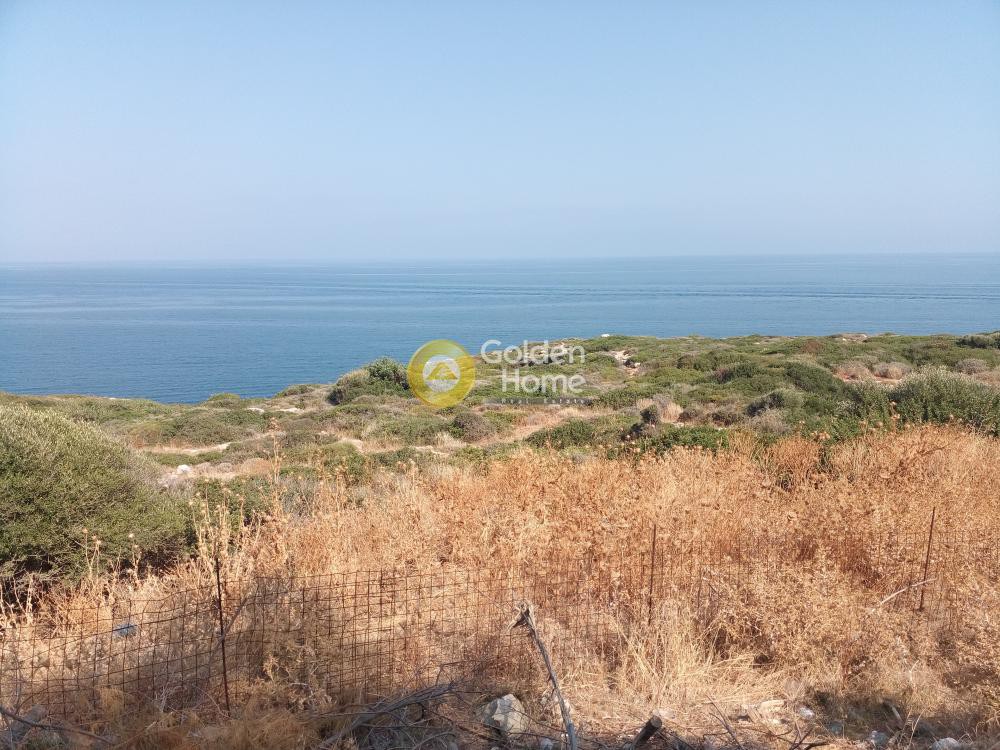 Οικόπεδο 16.000 τ.μ. πρός πώληση, Ν. Ρεθύμνου, Γεροπόταμος