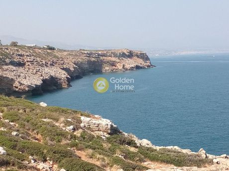 Οικόπεδο 16.000 τ.μ. για πώληση