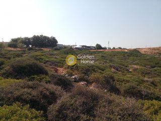 Οικόπεδο 16.000 τ.μ. πρός πώληση, Ν. Ρεθύμνου, Γεροπόταμος-thumb-4