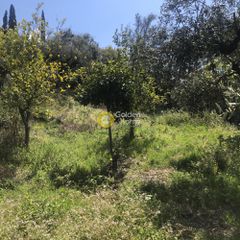 Αγροτεμάχια 2.006 τ.μ. προς πώληση, Περιβολάκια Καλαμάτας-thumb-11