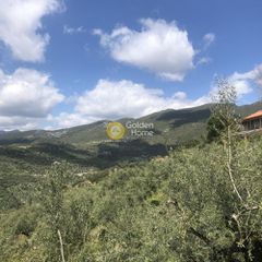 Αγροτεμάχια 2.006 τ.μ. προς πώληση, Περιβολάκια Καλαμάτας-thumb-5