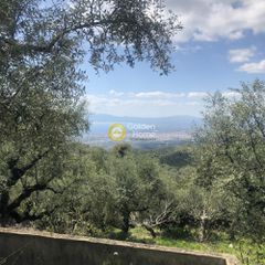 Αγροτεμάχια 2.006 τ.μ. προς πώληση, Περιβολάκια Καλαμάτας-thumb-6