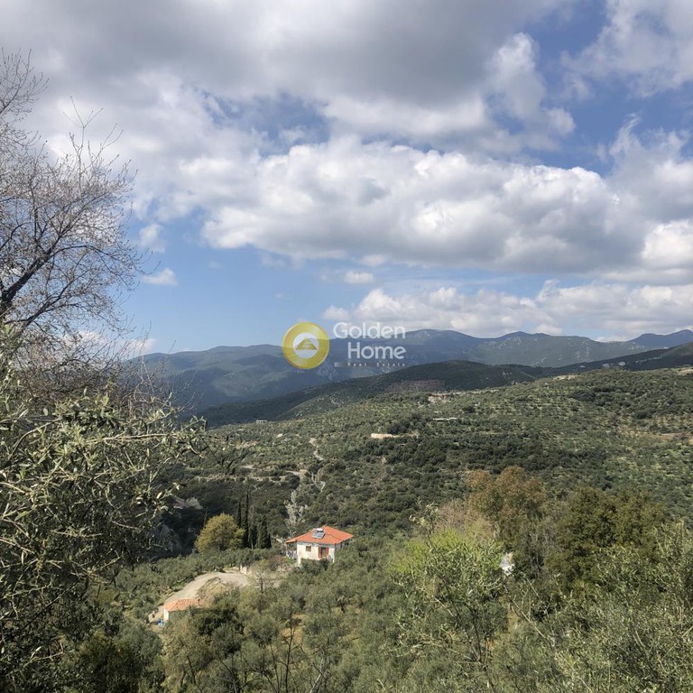 Αγροτεμάχια 2.006 τ.μ. προς πώληση, Περιβολάκια Καλαμάτας