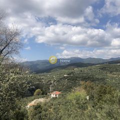 Αγροτεμάχια 2.006 τ.μ. προς πώληση, Περιβολάκια Καλαμάτας-thumb-2