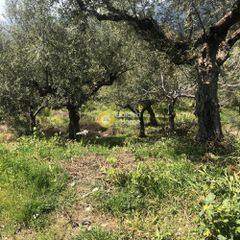 Αγροτεμάχια 2.006 τ.μ. προς πώληση, Περιβολάκια Καλαμάτας-thumb-16