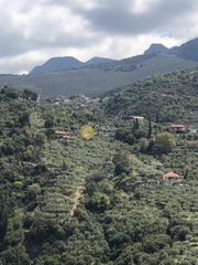 Αγροτεμάχια 2.006 τ.μ. προς πώληση, Περιβολάκια Καλαμάτας-thumb-13