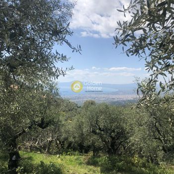 Αγροτεμάχια 2.006τ.μ. για πώληση-Καλαμάτα » Περιβολάκια