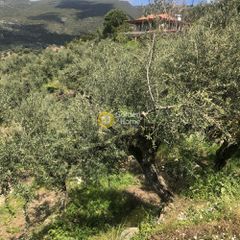 Αγροτεμάχια 2.006 τ.μ. προς πώληση, Περιβολάκια Καλαμάτας-thumb-9