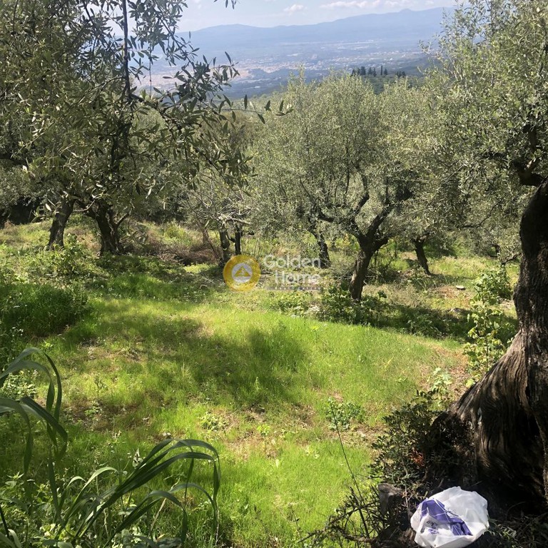 Αγροτεμάχια 2.006 τ.μ. προς πώληση, Περιβολάκια Καλαμάτας