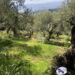 Αγροτεμάχια 2.006 τ.μ. προς πώληση, Περιβολάκια Καλαμάτας-thumb-1