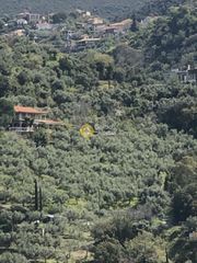 Αγροτεμάχια 2.006 τ.μ. προς πώληση, Περιβολάκια Καλαμάτας-thumb-12