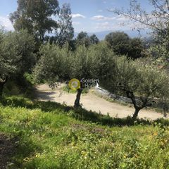 Αγροτεμάχια 2.152 τ.μ. προς πώληση, Περιβολάκια Καλαμάτας-thumb-15