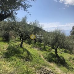 Αγροτεμάχια 2.152 τ.μ. προς πώληση, Περιβολάκια Καλαμάτας-thumb-11