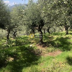 Αγροτεμάχια 2.152 τ.μ. προς πώληση, Περιβολάκια Καλαμάτας-thumb-8