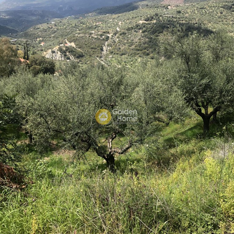 Αγροτεμάχια 2.152 τ.μ. προς πώληση, Περιβολάκια Καλαμάτας