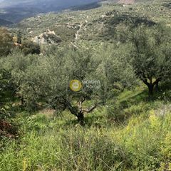 Αγροτεμάχια 2.152 τ.μ. προς πώληση, Περιβολάκια Καλαμάτας-thumb-4