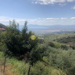 Αγροτεμάχια 2.152 τ.μ. προς πώληση, Περιβολάκια Καλαμάτας-thumb-3