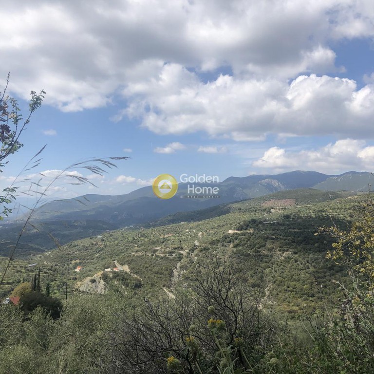 Αγροτεμάχια 2.152 τ.μ. προς πώληση, Περιβολάκια Καλαμάτας