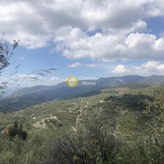 Αγροτεμάχια 2.152 τ.μ. προς πώληση, Περιβολάκια Καλαμάτας-thumb-1