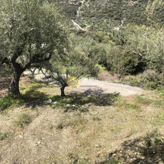 Αγροτεμάχια 2.152 τ.μ. προς πώληση, Περιβολάκια Καλαμάτας-thumb-14