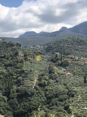 Αγροτεμάχια 2.152 τ.μ. προς πώληση, Περιβολάκια Καλαμάτας-thumb-17