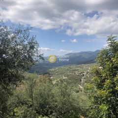 Αγροτεμάχια 2.152 τ.μ. προς πώληση, Περιβολάκια Καλαμάτας-thumb-7